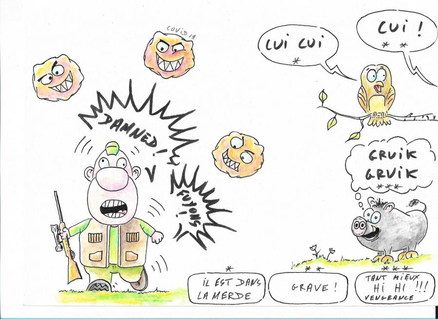 Bd4chasse