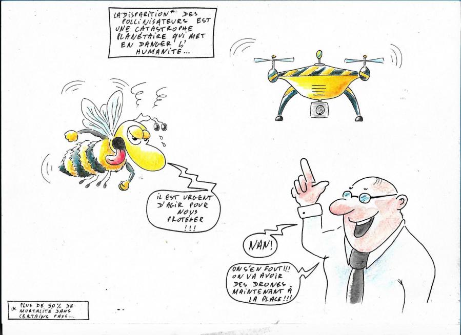 Bzzz coulgam