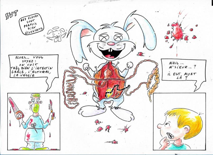 Lapinou coulgam