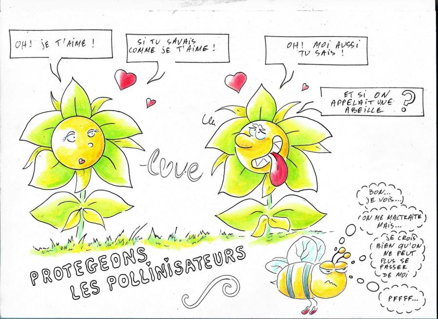 Pollini coulg